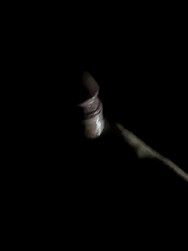 Snapshot of -bunny06 chatting on 10, 10, 2025 -bunny06 online show from 10, 10, 2025