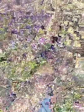 Snapshot of Aadityaaa07 chatting on 28, 3, 2026 Aadityaaa07 online show from 28, 3, 2026