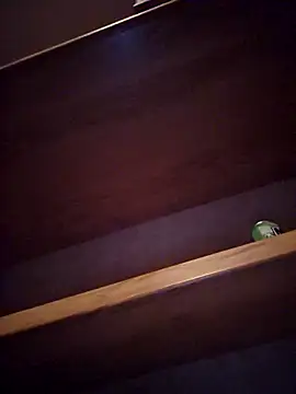 DeeBestEver online show from 4, 11, 2025