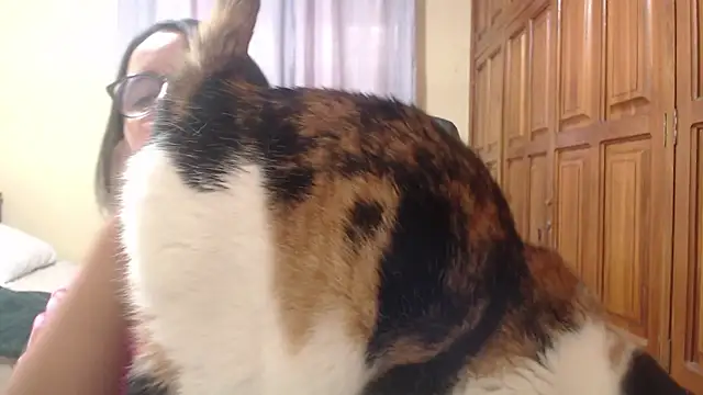 Snapshot of Venus_cat_ chatting on 8, 2, 2026 Venus cat online show from 8, 2, 2026