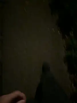 ncjuice  online show from 31, 10, 2025