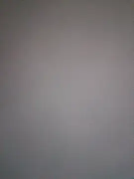 JNTre online show from 10, 2, 2026