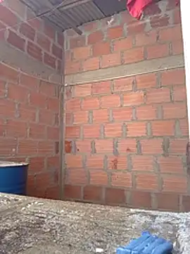 Snapshot of Linis_19 chatting on 27, 11, 2025 Linis 19 online show from 27, 11, 2025