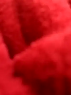 Snapshot of ProXydelhi chatting on 7, 2, 2026 ProXydelhi online show from 7, 2, 2026