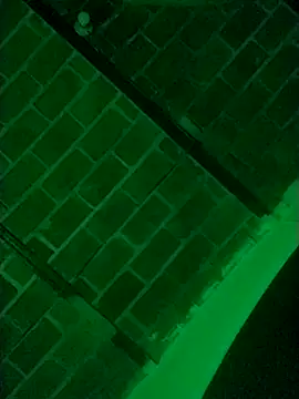 Snapshot of Buddha289 chatting on 9, 3, 2026 Buddha289 online show from 9, 3, 2026