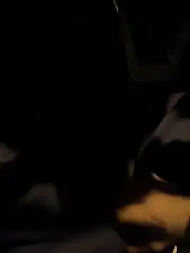 ayrtonmen online show from 8, 10, 2025