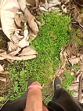 Sikici0734 online show from 12, 1, 2026