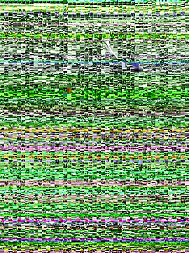 NatashasBoobs online show from 8, 10, 2025