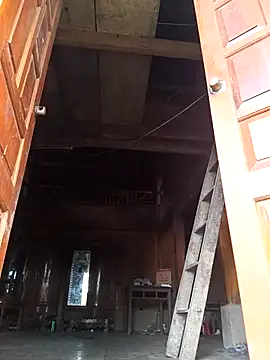 Genie tin online show from 13, 11, 2025