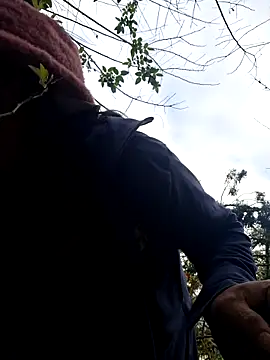 miomio-12 online show from 14, 11, 2025