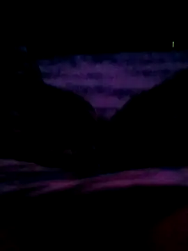 Snapshot of veintitres23 chatting on 11, 11, 2025 veintitres23 online show from 11, 11, 2025