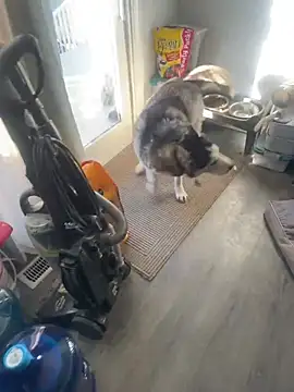 Snapshot of Jcaspen chatting on 9, 3, 2026 Jcaspen online show from 9, 3, 2026