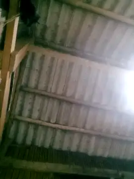 Snapshot of Ducky27021991 chatting on 18, 10, 2025 Ducky27021991 online show from 18, 10, 2025