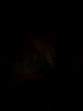 tmoneydick69 online show from 19, 11, 2025