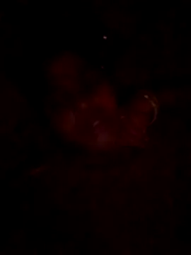 Snapshot of Tg_sonam chatting on 23, 10, 2025 Tg sonam online show from 23, 10, 2025