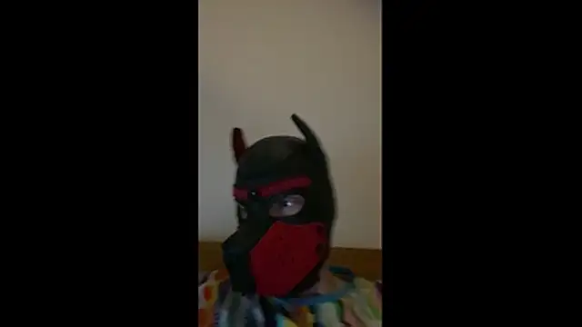 MolleDolle online show from 1, 3, 2026