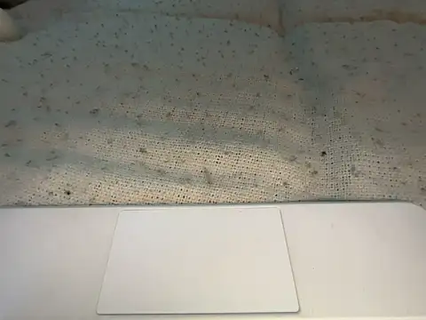 goddesemiiyy online show from 18, 11, 2025