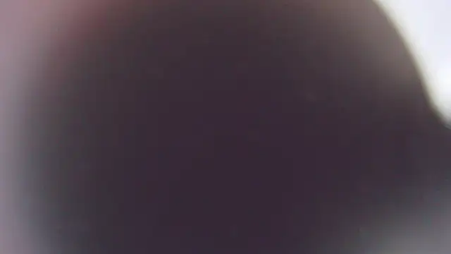 Stefano Calle online show from 3, 12, 2025