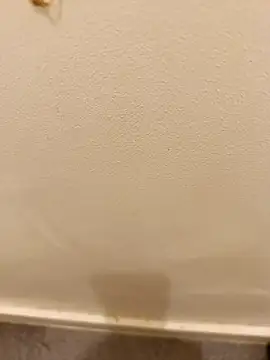 Snapshot of _Gabriela_5Live chatting on 10, 11, 2025 Gabriela 5Live online show from 10, 11, 2025