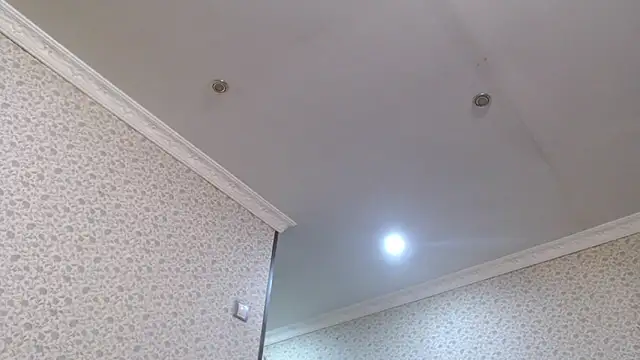 maybe doll online show from 21, 10, 2025