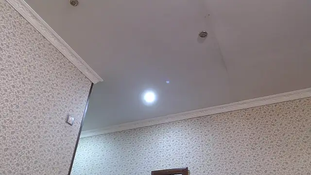 maybe doll online show from 23, 10, 2025