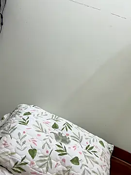 Snapshot of Ha_2660 chatting on 22, 10, 2025 Ha 2660 online show from 22, 10, 2025