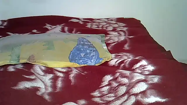 Barbienigel online show from 8, 11, 2025