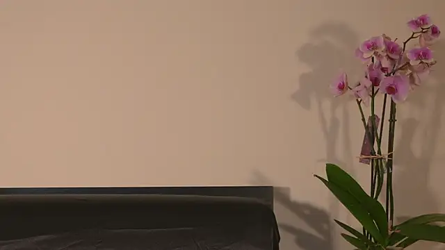 Snapshot of AbrilColls_ chatting on 15, 3, 2026 AbrilColls online show from 15, 3, 2026