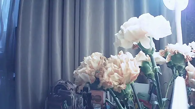 MoodieMira online show from 12, 3, 2026