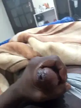 Sahrawi-fhal online show from 2, 2, 2026