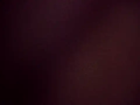 Snapshot of jjLARAY chatting on 29, 11, 2025 jjLARAY online show from 29, 11, 2025