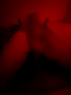 Snapshot of Ktkotabob chatting on 21, 10, 2025 Ktkotabob online show from 21, 10, 2025