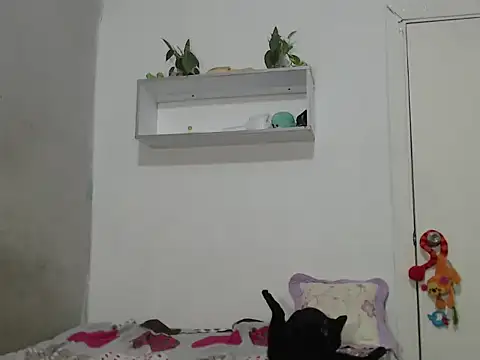 Renata Rivas online show from 25, 2, 2026