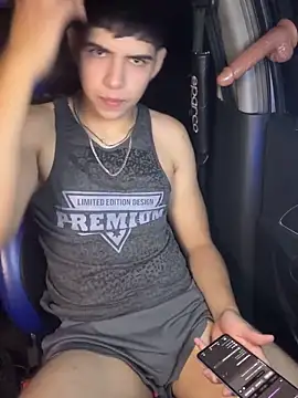 Stick ledom online show from 13, 10, 2025