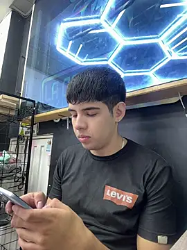 Stick ledom online show from 5, 11, 2025