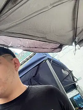 Stick ledom online show from 12, 11, 2025