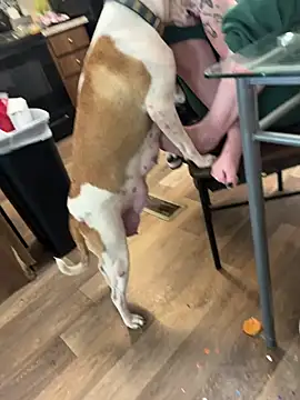 Mustbethemoney1234 online show from 6, 4, 2026