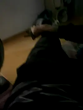 Gomes177 online show from 12, 10, 2025