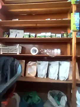 szabi1995 online show from 10, 1, 2026