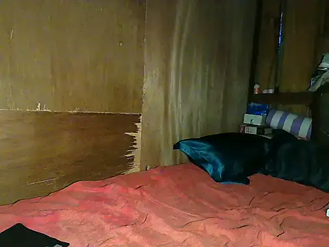 Snapshot of wildcat30 chatting on 1, 11, 2025 wildcat30 online show from 1, 11, 2025