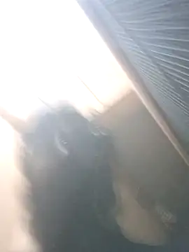 Memonsait1 online show from 6, 3, 2026