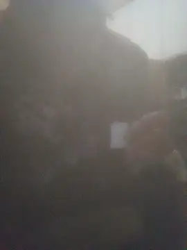 juniors-34 online show from 22, 11, 2025