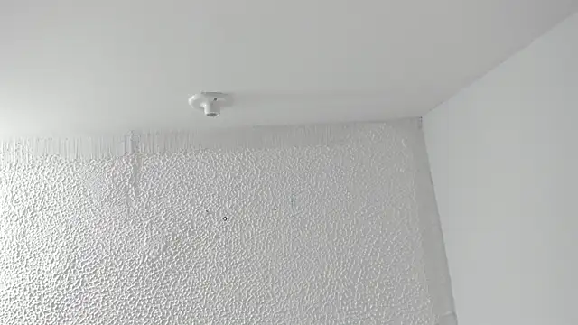 AnnieAndLeandro online show from 6, 1, 2026