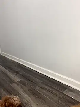 Snapshot of shantallroos chatting on 28, 11, 2025 shantallroos online show from 28, 11, 2025