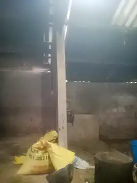 Snapshot of Myzak- chatting on 18, 10, 2025 Myzak- online show from 18, 10, 2025