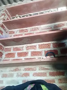 Rajni chauhan online show from 13, 3, 2026