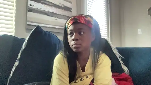 LawChat2025 online show from 14, 11, 2025