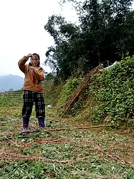 omai-ngot online show from 17, 11, 2025