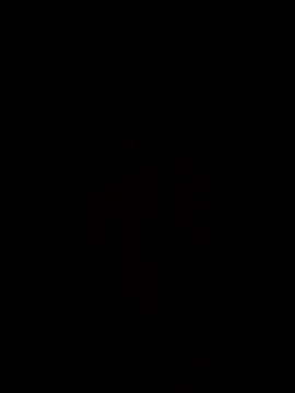 Orlao25cm online show from 15, 11, 2025