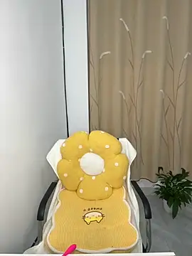 Snapshot of zxcvbnmqwas213 chatting on 9, 11, 2025 zxcvbnmqwas213 online show from 9, 11, 2025